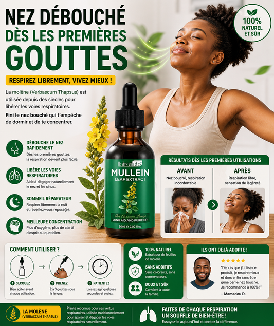 Goutte à la molène pour les poumons.